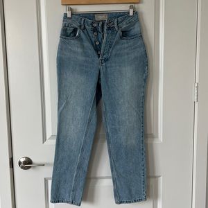 Everlane The Curvy 90s Cheeky Straight Jean Organic Cotton Size 25 Crop